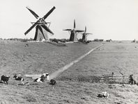 FOTO-000583 De drie molens (molengang) van de droogmakerij de Driemanspolder, circa 1965
