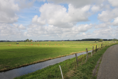 FOTO-850240 Spaarndammerdijk, 2014