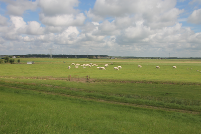 FOTO-850248 Spaarndammerdijk en weilanden, 2014