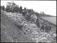 FOTO_00417 Het dijkleger van Moordrecht versterkt de zwakke dijk langs de Hollandse IJssel met zandzakken, 1 februari 1953