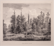 JMD-OP-1669 Litho, topografie: BIJLANDTS RUST. Litho uit een serie van 12, gezichten in het park Het Loo.