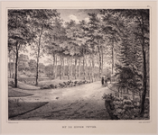 JMD-OP-1670 Litho, topografie: BIJ DE HOOGE VIJVER. Litho uit een serie van 12, gezichten in het park Het Loo.