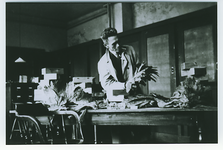500040 Sorteren van het dekblad door Pietje van der Hijden bij sigarenfabriek van Gemert, 1930