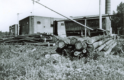 500120 Bomenvoorraad bij klompenfabriek Harrie van de Velden, 1950
