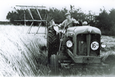 500567 Jan van de Berg aan het maaien van graan, 1956