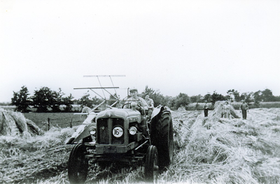 500568 Jan van den Berg aan het maaien van koren, 1956