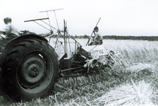 500569 Karel van Kollenburg als binder tijdens de oogst , 1956