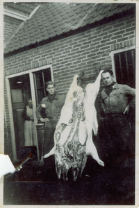 501189 Slagers Marinus van Haren en links Jan van Lierop bij het geslachte varken welke is vastgemaakt aan de leer , 1950