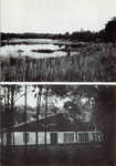501217 Collage van foto's met het Langven en blokhut van scouting Sint Jan Don Bosco, 1985
