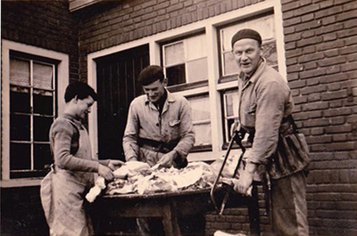 501538 Slachten van een varken door thuisslagers , 1950