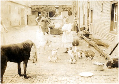 181445 Het voeren van de hond en de katten bij de Brouwerij van Sopers, z.j.