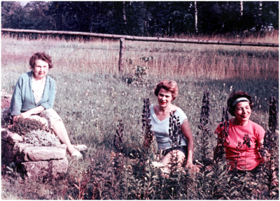 181513 Het vieren van vakantie : Drie dames in de natuur in Lucâry (Riesengebirge), 06-1963