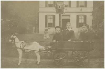 181635 Fotoalbum 3 bestaande uit 95 foto's -90. Het rijden in een bokkenwagen door de drie zonen van Jacobus Mutsaers ...