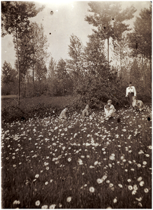 181816 Fotoalbum 6 bestaande uit 95 foto's -48. Het plukken van bloemen met Paula en louise Coovels. De overigen zijn ...