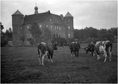 182010 Kasteel Croy met op de voorgrond koeien in de wei, z.j.
