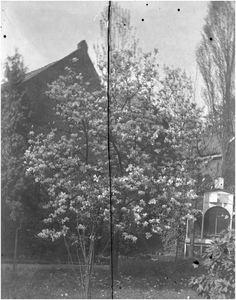 182268 De tuin Huize Jekschot met achter de magnoliaboom een volière, z.j.