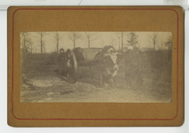 390065 Twee vrouwen met een aardkar getrokken door een os, ca. 1890