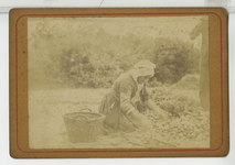 390184 Vrouw met aardappels, ca. 1890