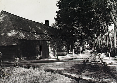 23605 Langgevelboerderij in het buitengebied, ca. 1950