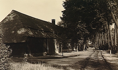 23606 Langgevelboerderij in het buitengebied van Best, ca. 1950