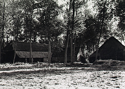 23608 Boerderij in buitengebied van Best, ca. 1950