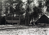 23608 Boerderij in buitengebied van Best, ca. 1950