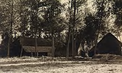 23609 Boerderij in buitengebied van Best, ca. 1950