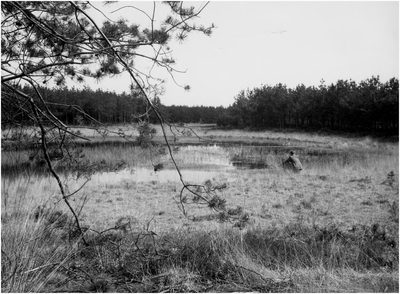 148780 Natuurgebieden, vennengebied omgeving Leende, 1948