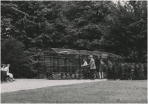 193925 Het kijken in de volière in het Stadswandelpark, 08-1951