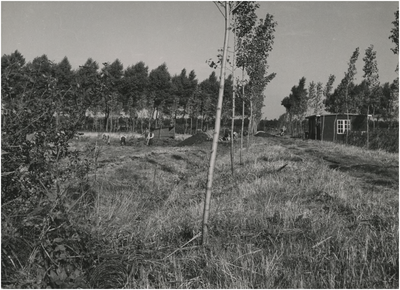 194533 Serie van 3 foto's betreffende werkzaamheden onder de Dienst Uitvoering Werken: Het uitvoeren van ...