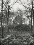 21460 Schietberg op Landgoed 's Heerenvijvers, 1967