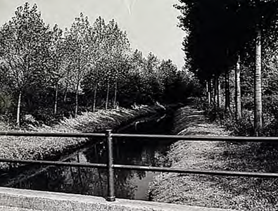 21470 Riviertje de Beerze nabij Spoordonk, 1967