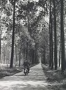 23624 Fietspad in bosrijk natuurgebied in de omgeving van Best, 05-1967