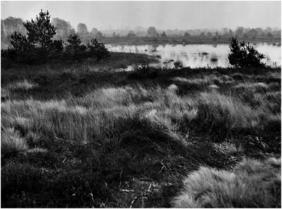 148764 Stabrechtse Heide, 03-1966