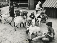 193804 Het voeren van dieren op de kinderboerderij in het Philips van Lenneppark, 1969 - 1970