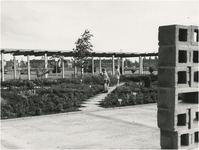 193815 Het spelen in de plantentuin in het Philips van Lenneppark, 1969 - 1970