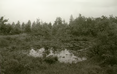  Een serie van 12 foto's betreft natuuromgeving Valkenswaard, 1955 - 1965