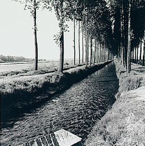 8351 Tongelreep, nabij Achelse Kluis, 1955 - 1965