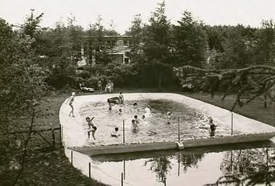 11741 Zwemmen in zwembad De Smagtenbogt, 20-06-1966