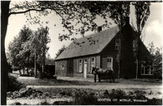 11898 Boederij, Witrijt. Voor de boerderij boer met paard, 1960 - 1970