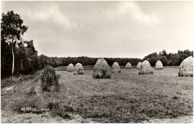 12295 Agrarische omgeving: hooiruiters, 1960 - 1970