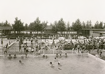 13085 Zwemmen in zwembad De Smelen , 17-06-1969