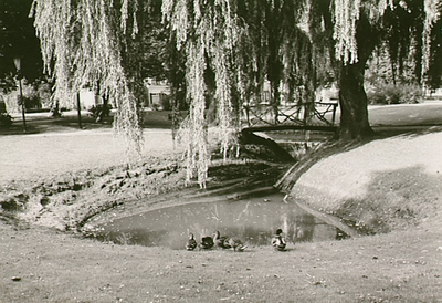 13410 Park, met prinses Marijkebrug, 1965 - 1970