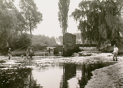 13497 Vissen in de Dommel bij de restanten van de volmolen, 08-07-1969