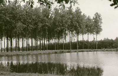 14092 't Schut: visvijver bij de Eeuwselsedijk, 19-07-1960