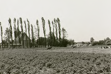 14118 Agrarisch landschap: wei- en akkerland, 18-06-1964