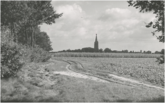 14160 Agrarischlandschap: maisvelden, gezien in de richting van R.K.-kerk St. Petrus Banden, ca. 1960