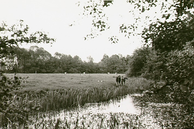 14216 Agrarisch landschap, met vier vissers vissend in de Dommel, 09-06-1965