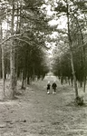 14227 Buikheide-Roestenberg: wandelende kinderen, 1960 - 1970