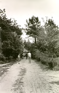 14228 Buikheide-Roestenberg: wandelen in het bos, 1960 - 1970